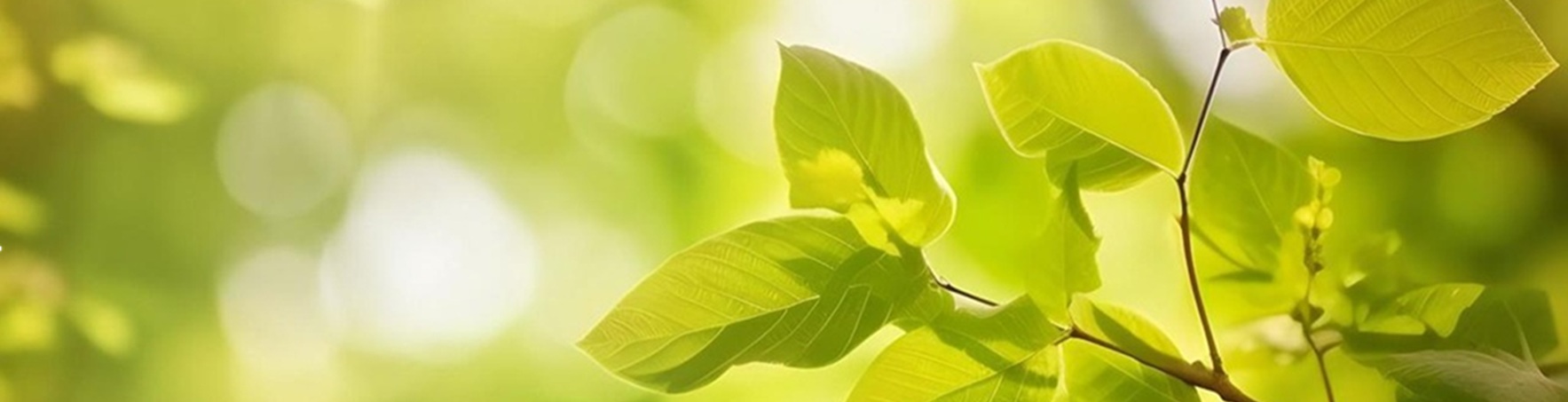 województwo pomorskie